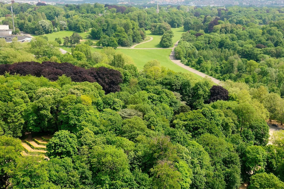 Un parc luxuriant, avec une végétation dense, un sentier sinueux et un bâtiment visible au loin.