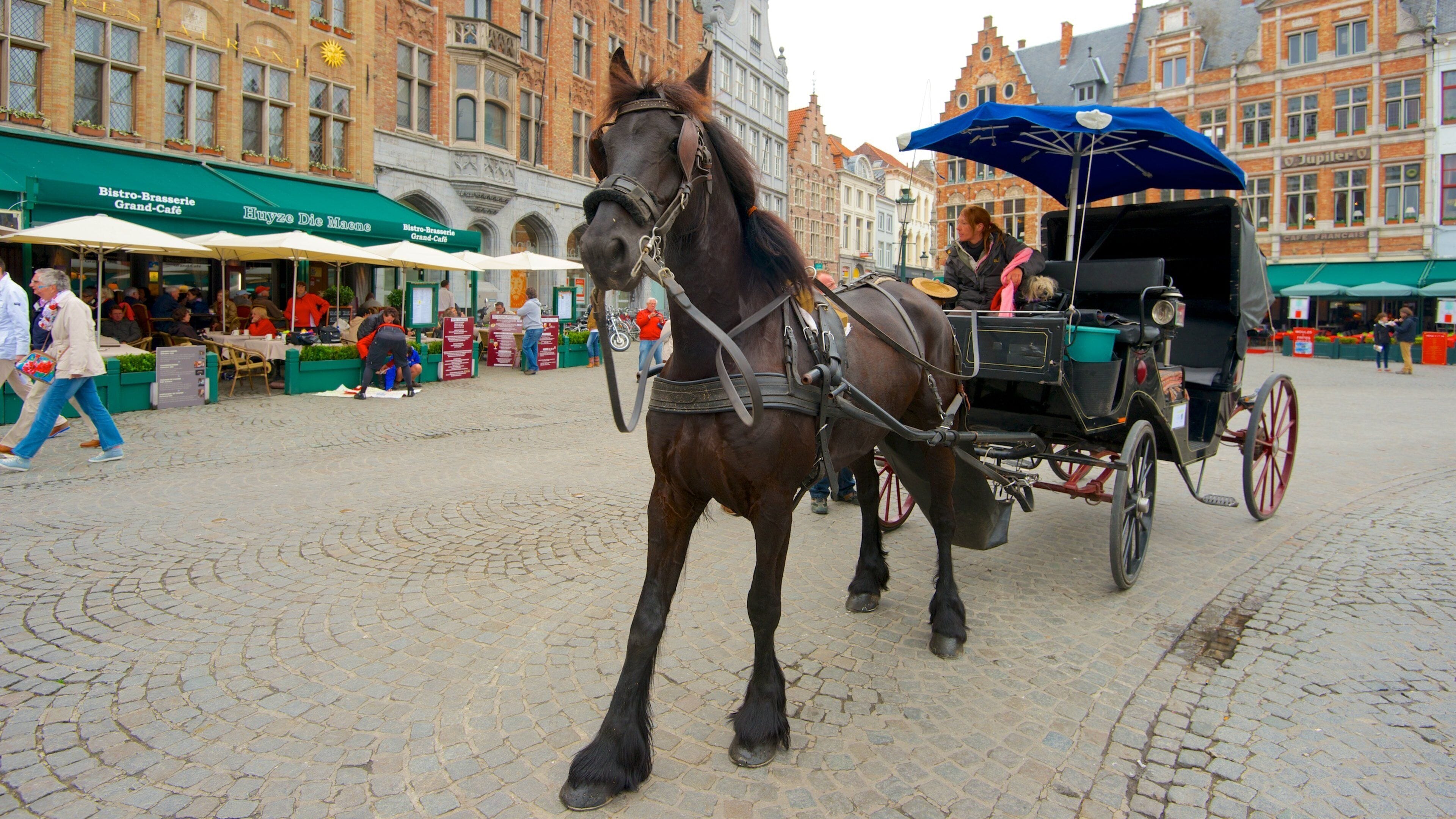 Grote Markt fasiliteter samt torg eller plass, hesteridning og marked