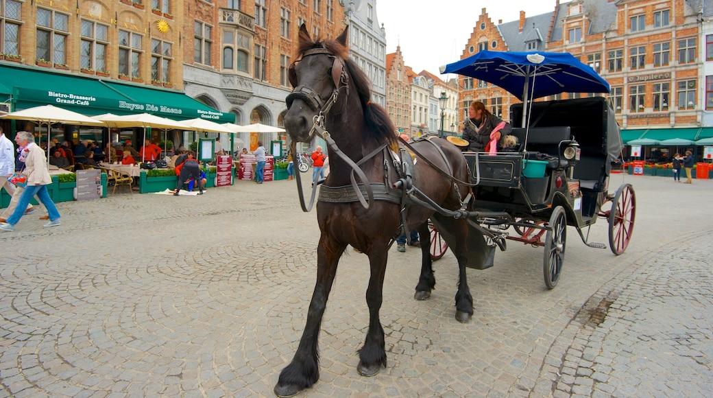 Grote Markt fasiliteter samt torg eller plass, hesteridning og marked