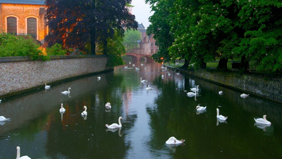 Minnewater showing a small town or village, a river or creek and bird life