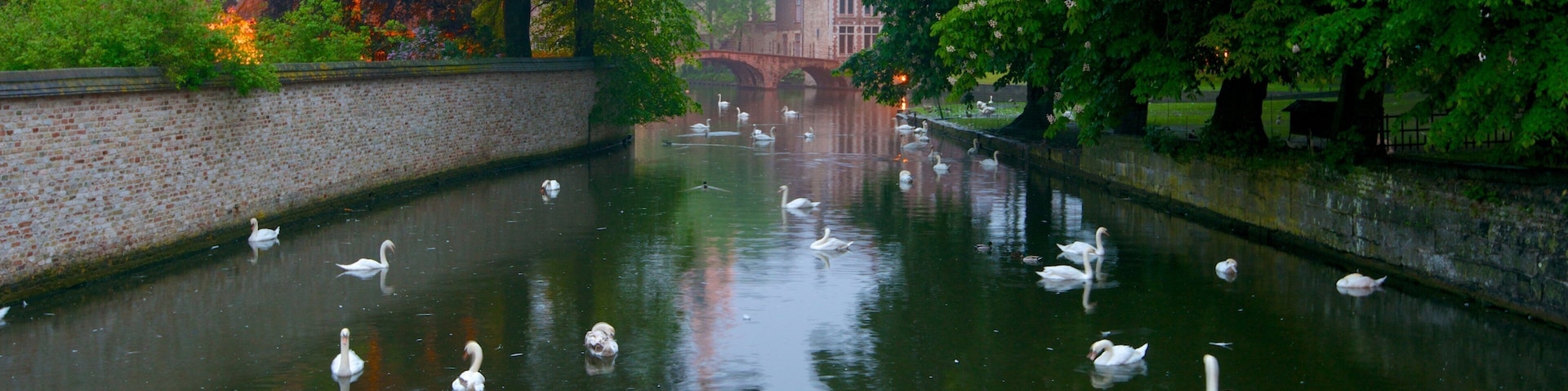 Minnewater showing a small town or village, a river or creek and bird life
