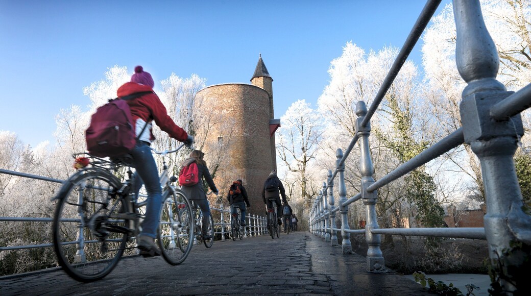 Minnewater featuring cycling, a bridge and a city