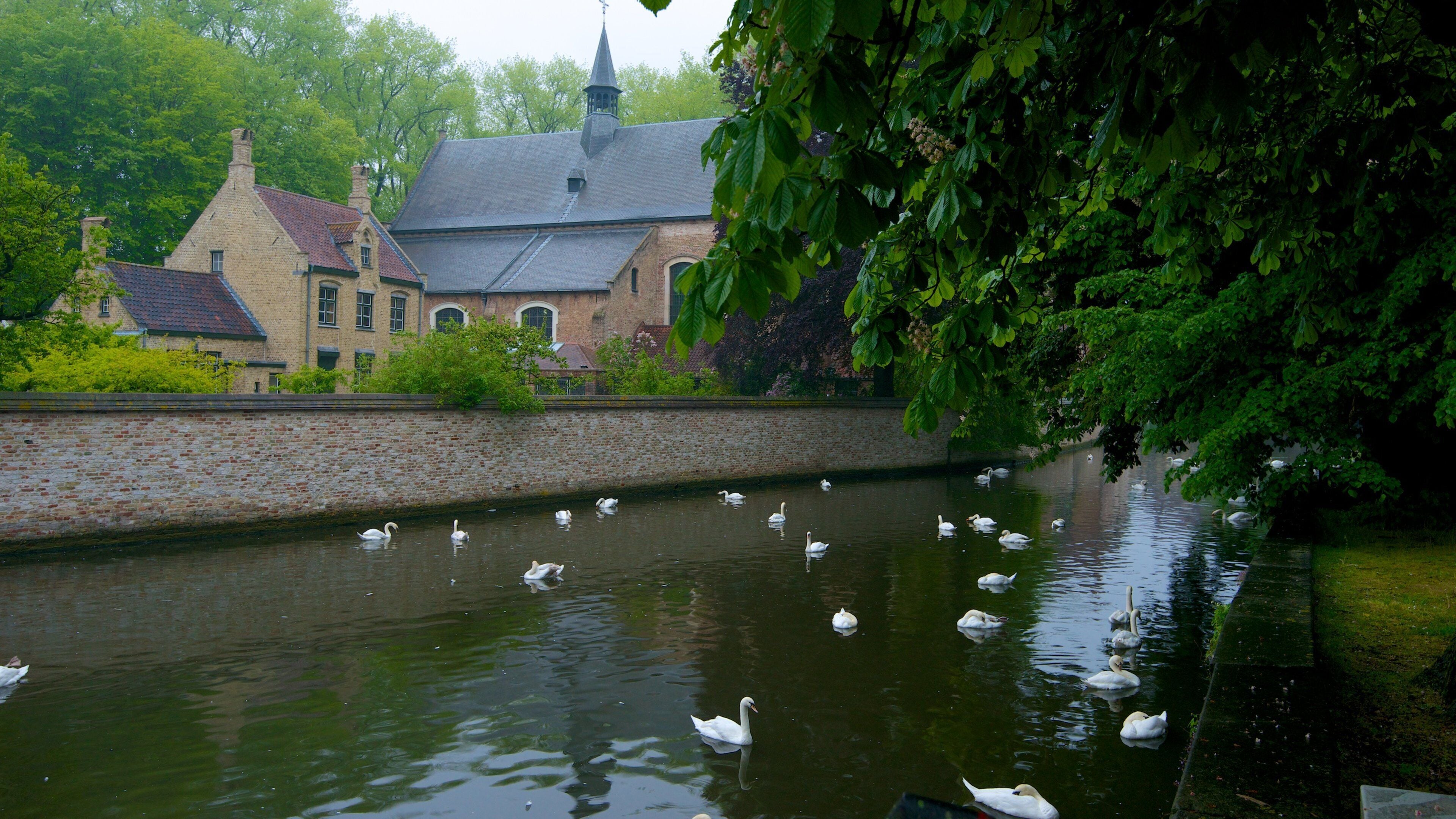 Un canal où nagent des cygnes, un mur de briques et un bâtiment doté d’une tour.
