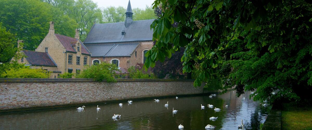 Minnewater featuring a river or creek, a small town or village and bird life