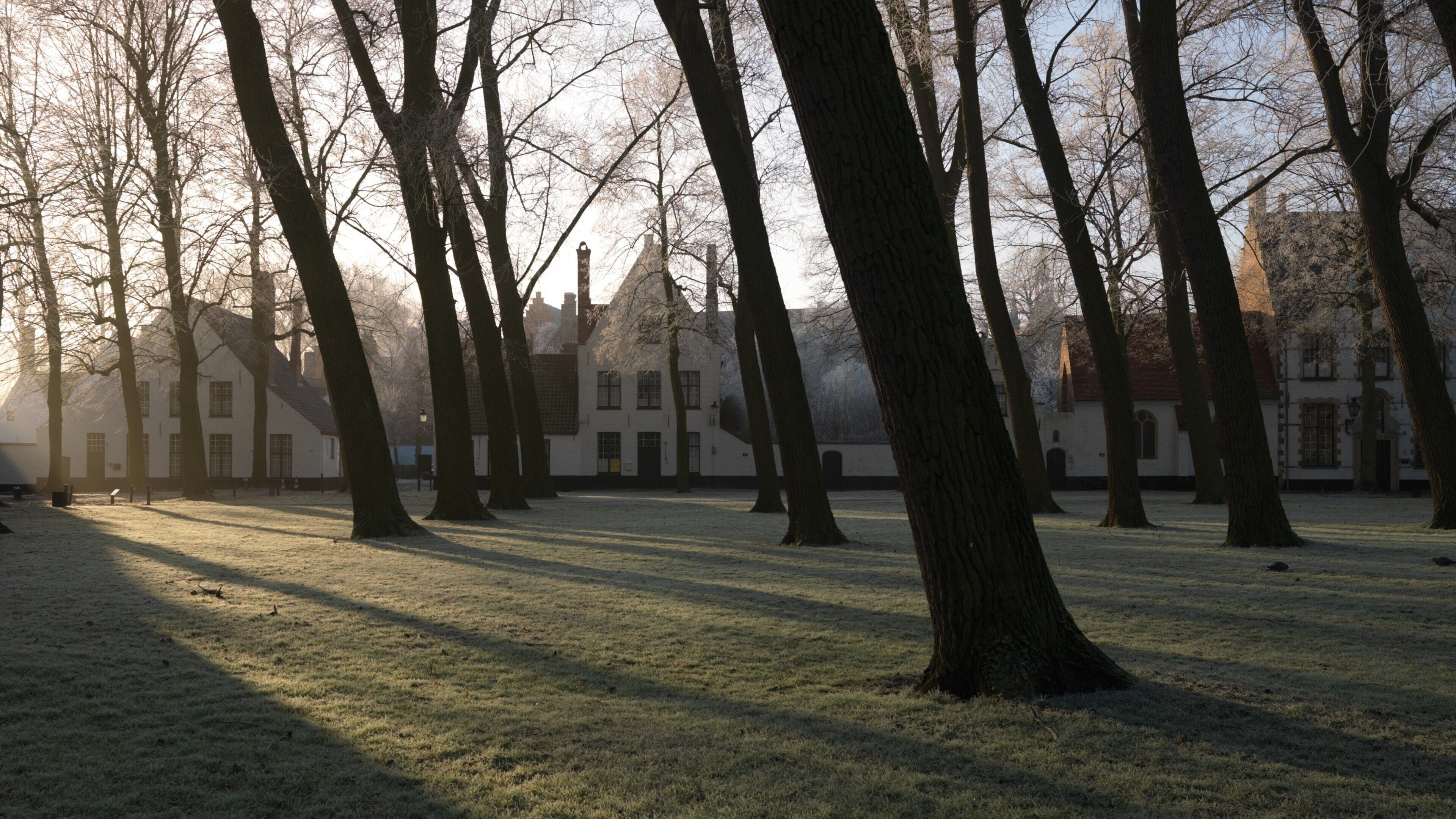 Begijnhof which includes a park and a small town or village