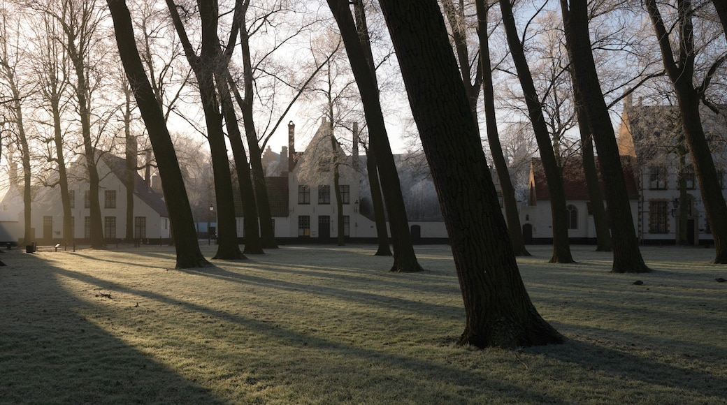 Begijnhof which includes a park and a small town or village