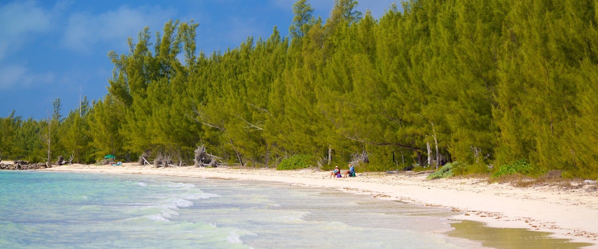 Barbary Beach que incluye una playa de arena