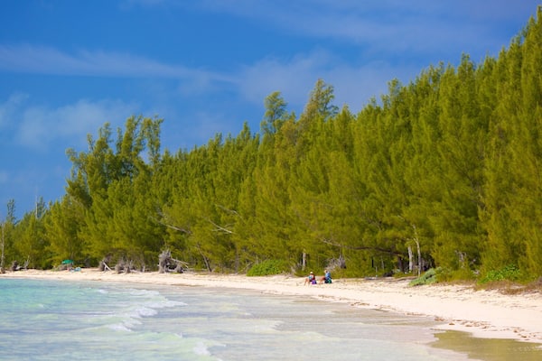 Barbary Beach showing a beach