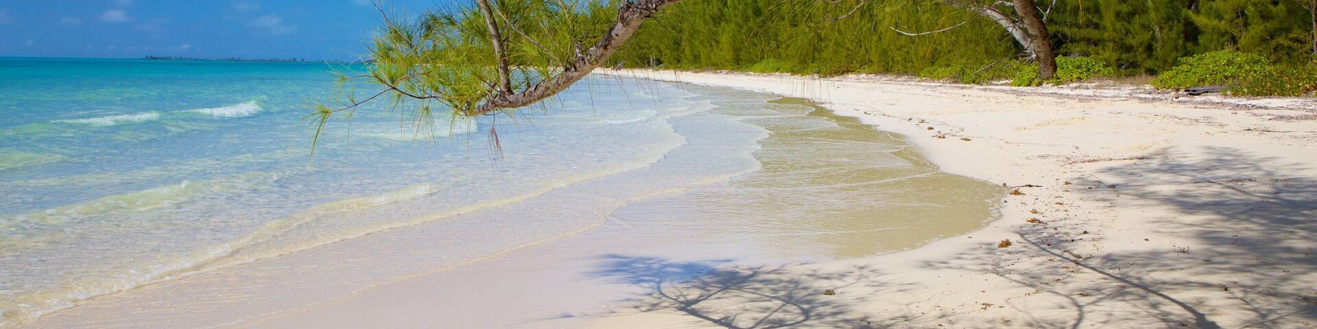 Barbary Beach showing a sandy beach