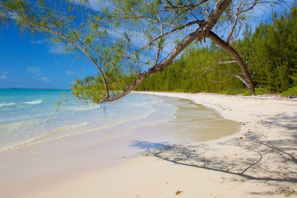 A beach with clear turquoise water, white sand, and green vegetation.