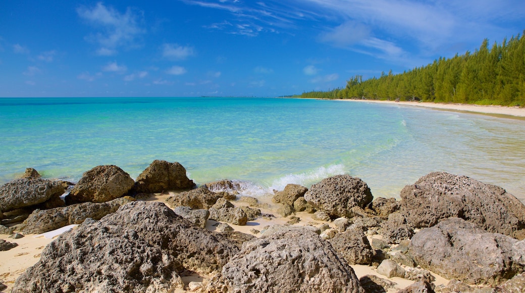 Barbary Beach featuring a sandy beach and rocky coastline