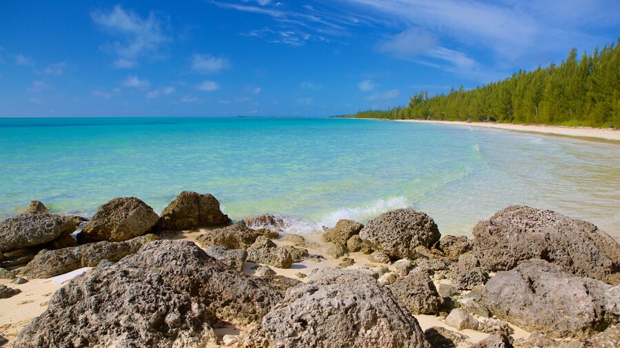 Barbary Beach featuring rugged coastline and a beach