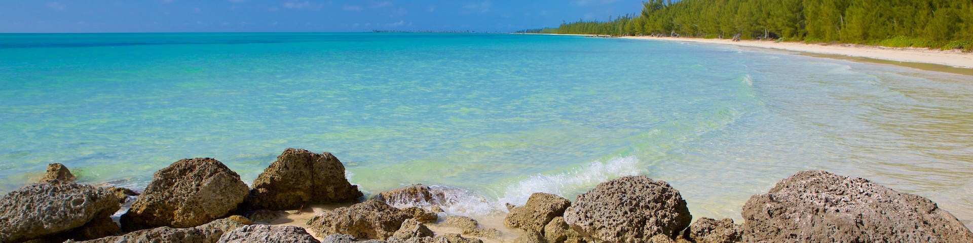 Barbary Beach featuring rugged coastline and a beach