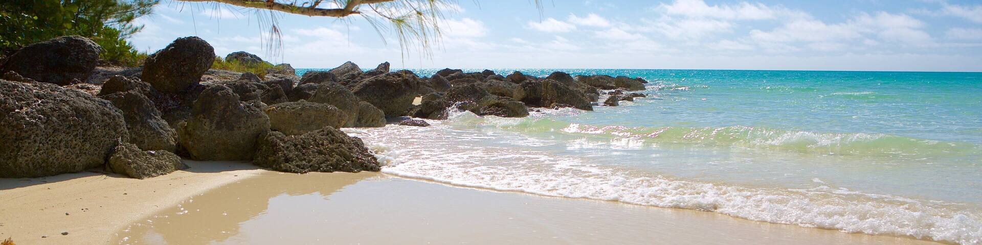 A sandy beach with clear turquoise water, large rocks, and a tree branch overhanging the water.