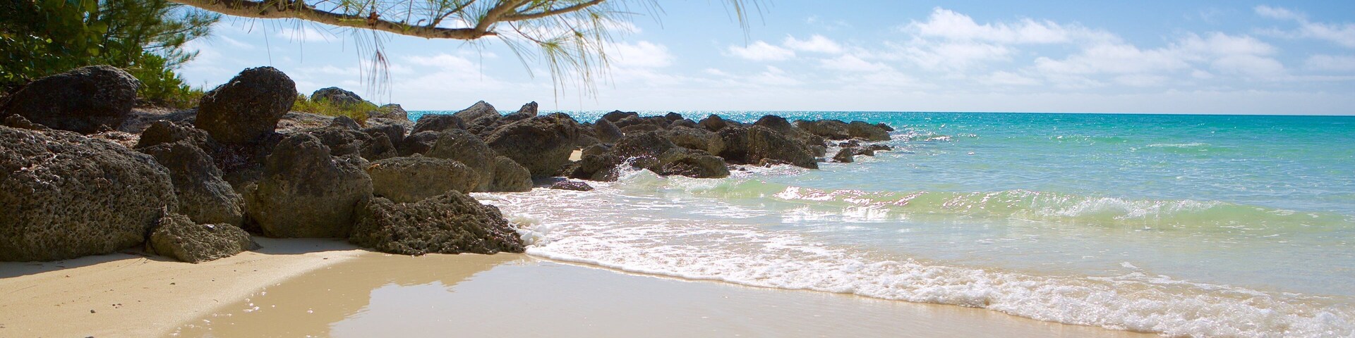 Barbary Beach which includes rocky coastline and a beach
