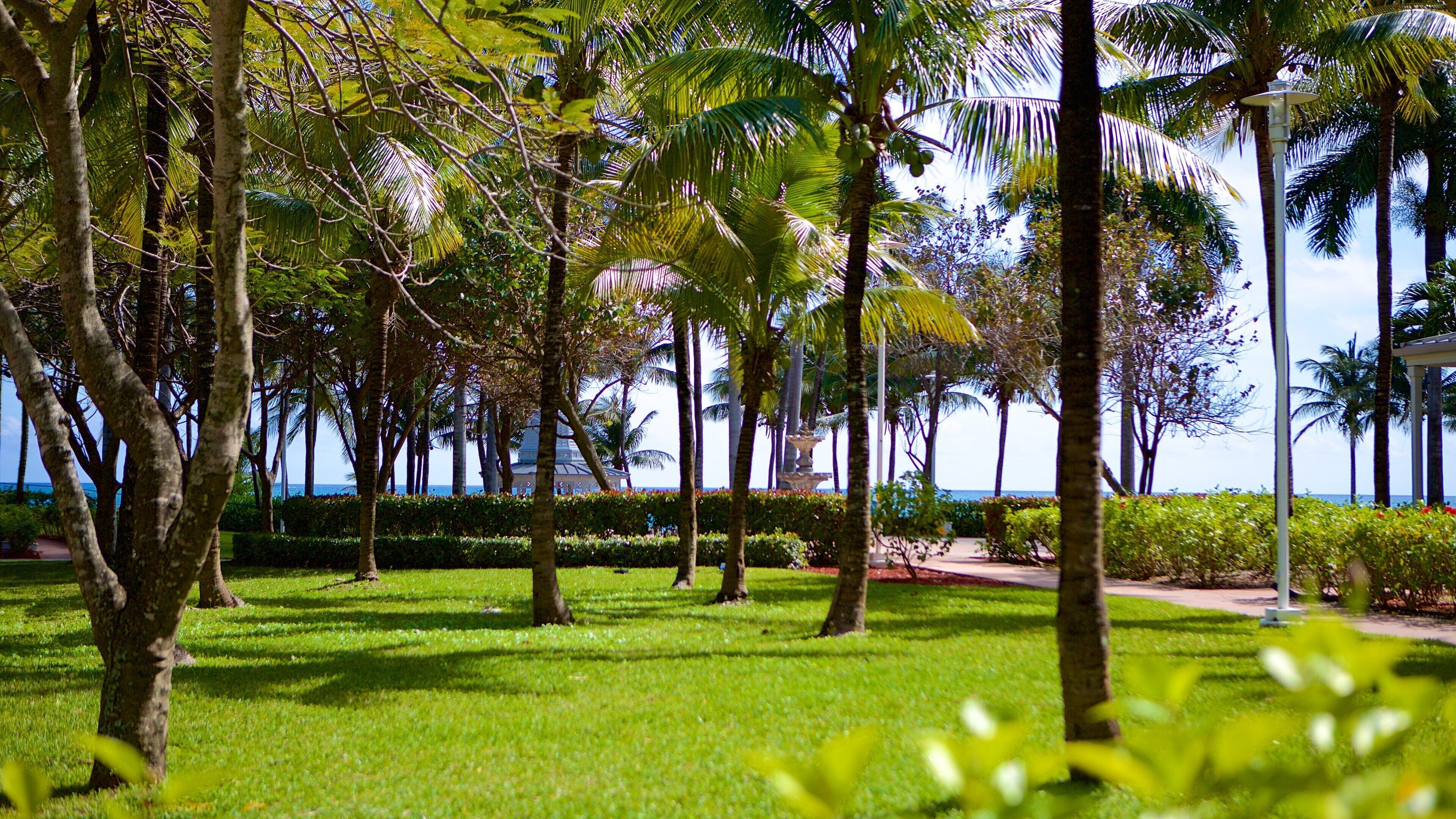 Lucaya Beach which includes a garden
