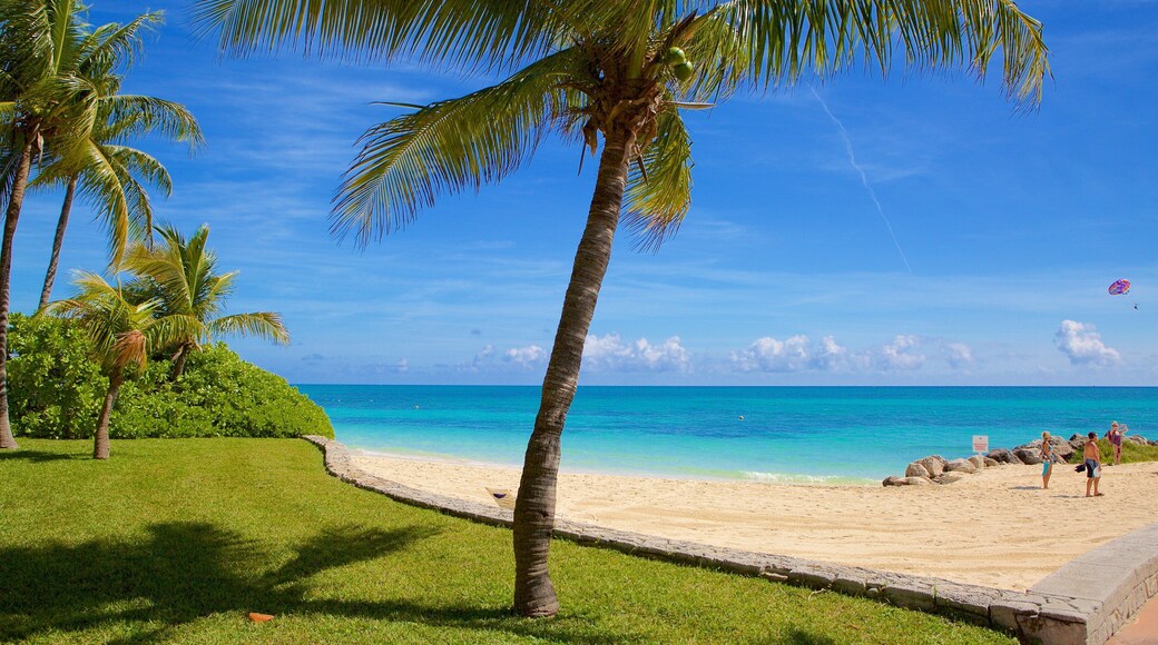 Lucaya Beach showing a sandy beach