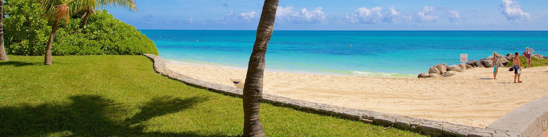 Lucaya Beach showing a sandy beach