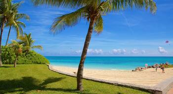 Lucaya Beach showing a sandy beach