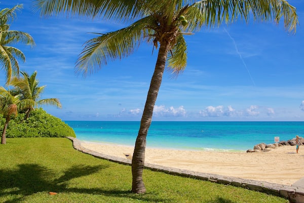 Lucaya Beach showing a sandy beach