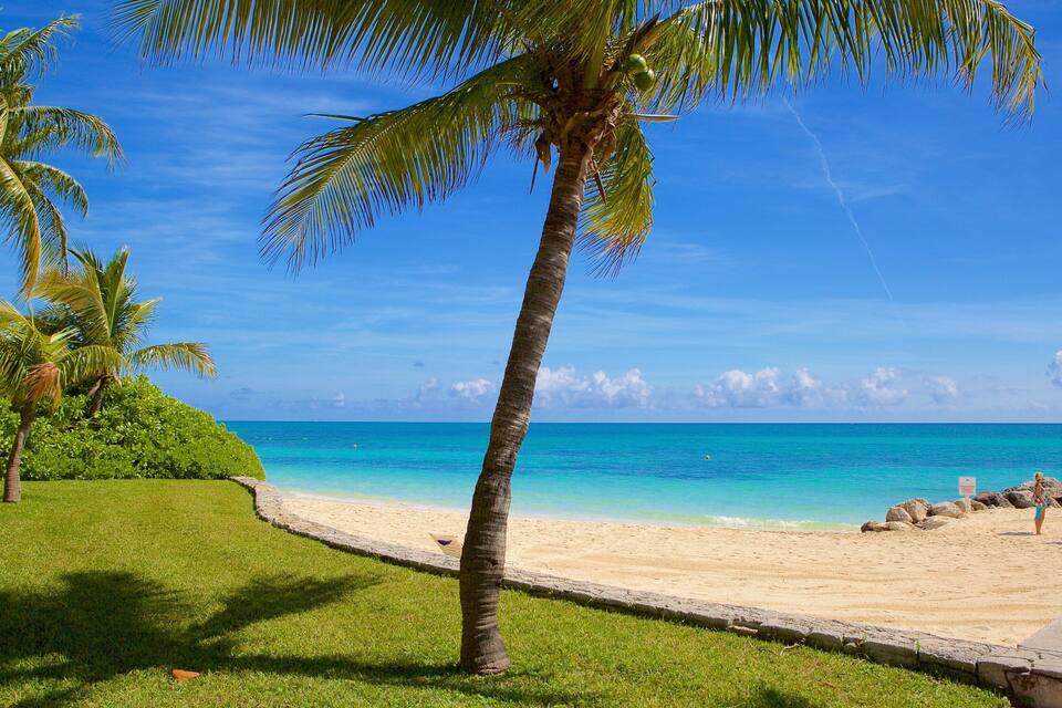 A beach with palm trees, clear blue water, and a few people in the distance.