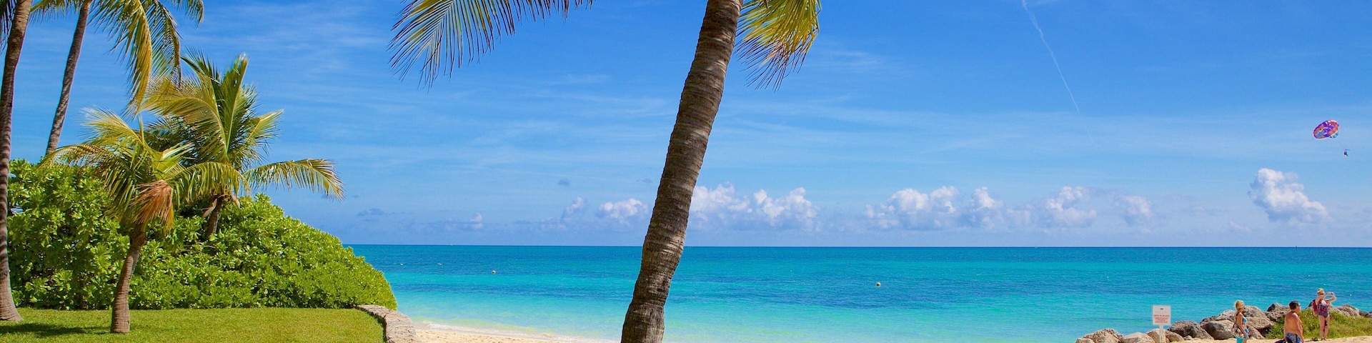 Lucaya Beach showing a sandy beach