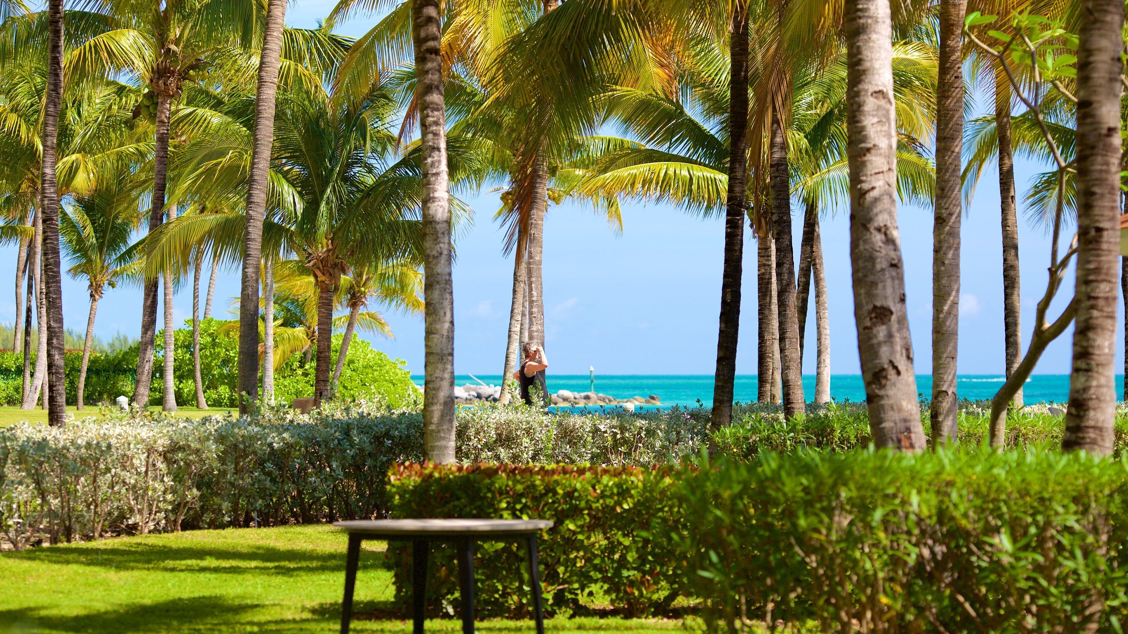Lucaya Beach showing a garden