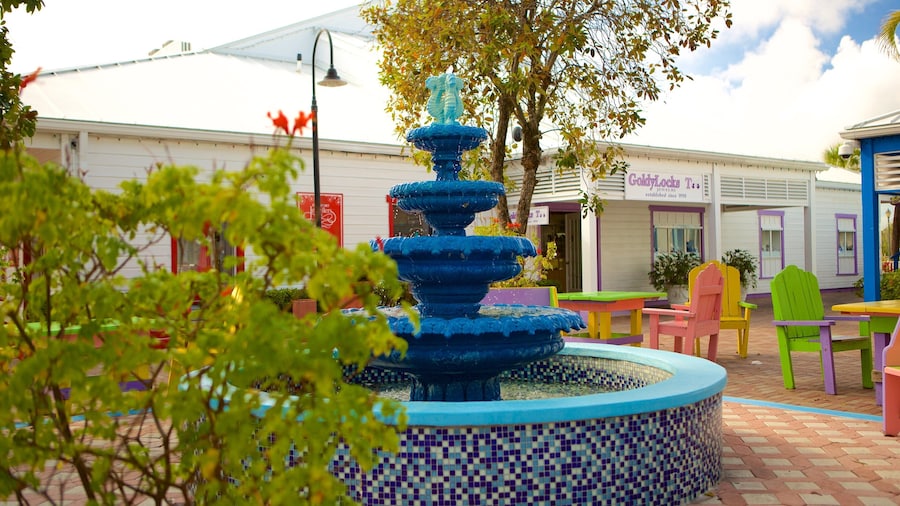 Port Lucaya Marketplace showing markets and a fountain