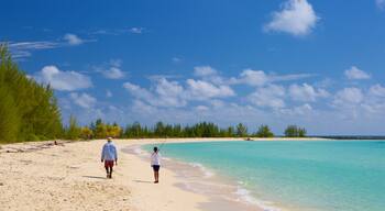 Playa Xanadu mostrando una playa de arena y escenas tropicales