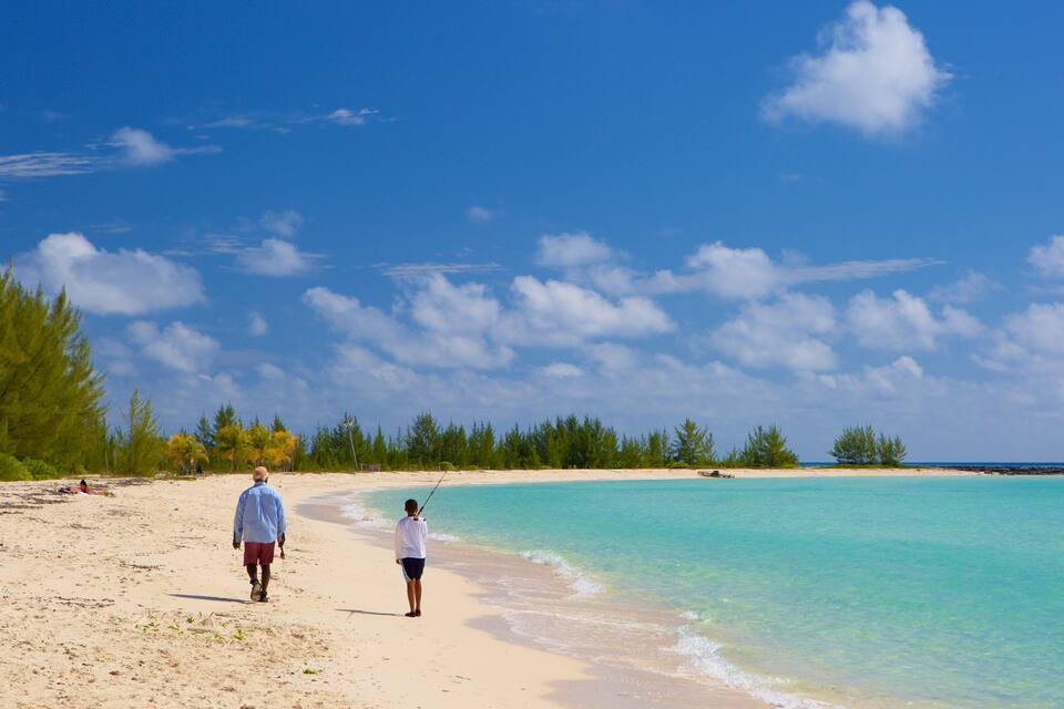 A beach with clear turquoise water, sandy shore, and green vegetation under a blue sky.