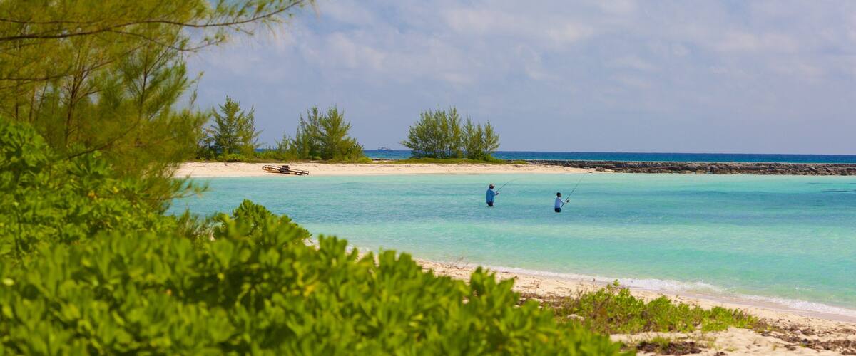 Xanadu Beach montrant plage de sable, pêche et scènes tropicales