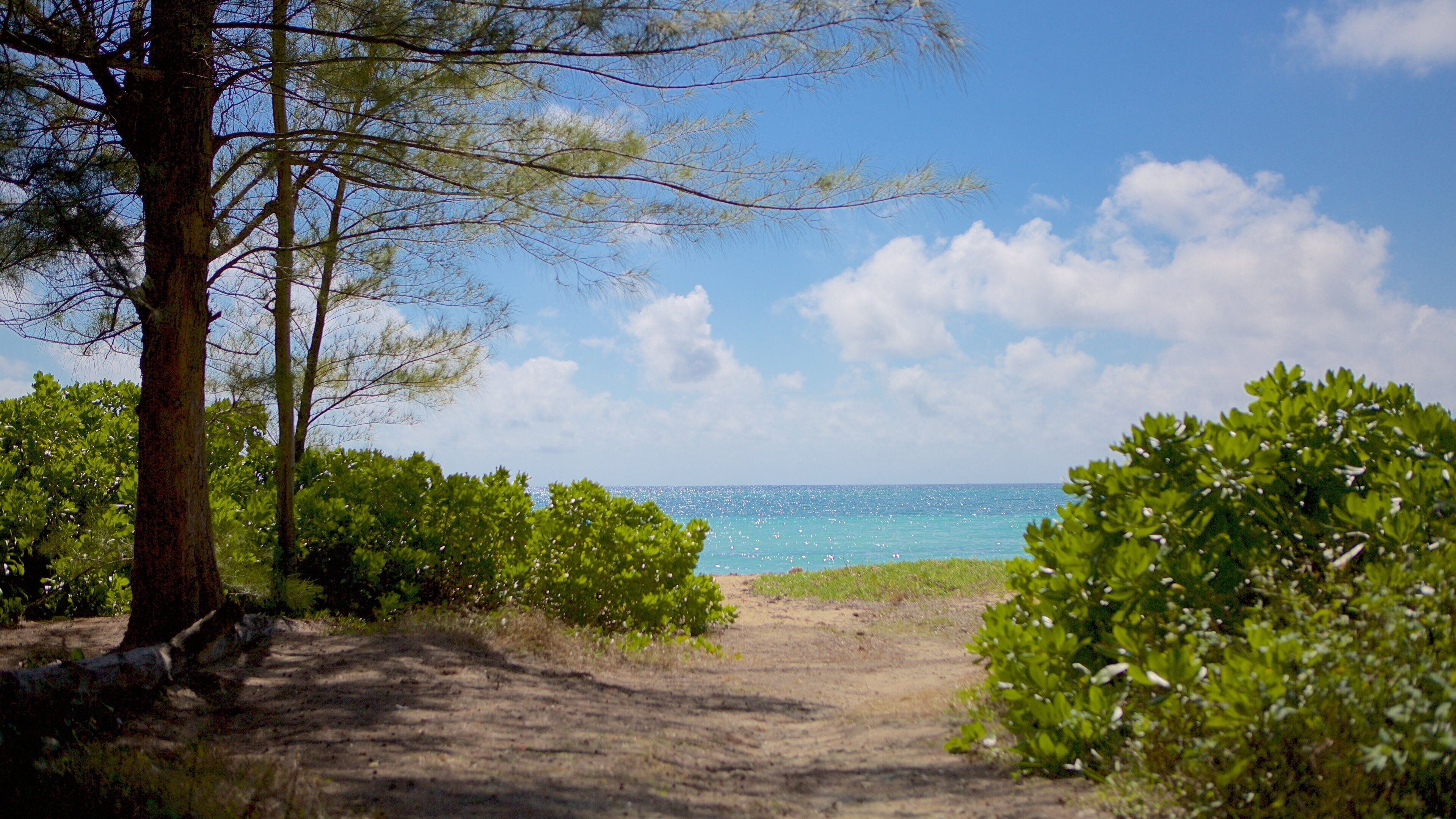 Xanadu Beach welches beinhaltet allgemeine Küstenansicht