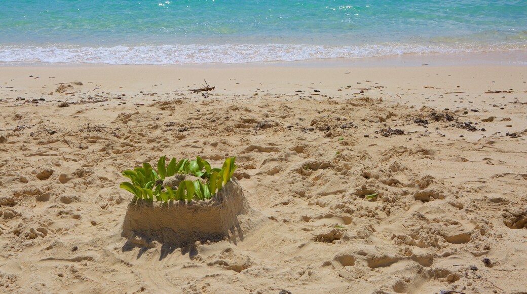 Xanadu Beach which includes a sandy beach