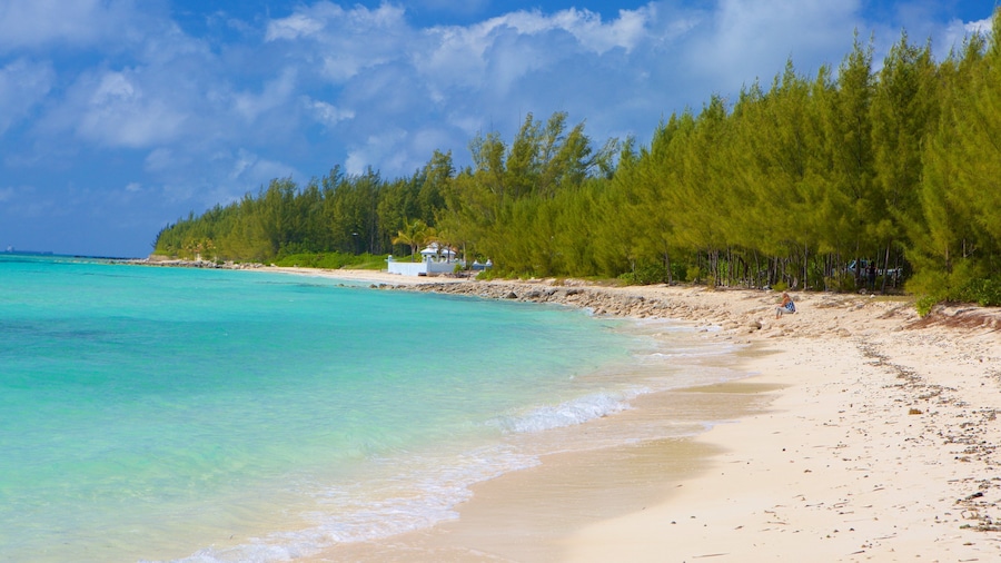 Xanadu Beach featuring a beach