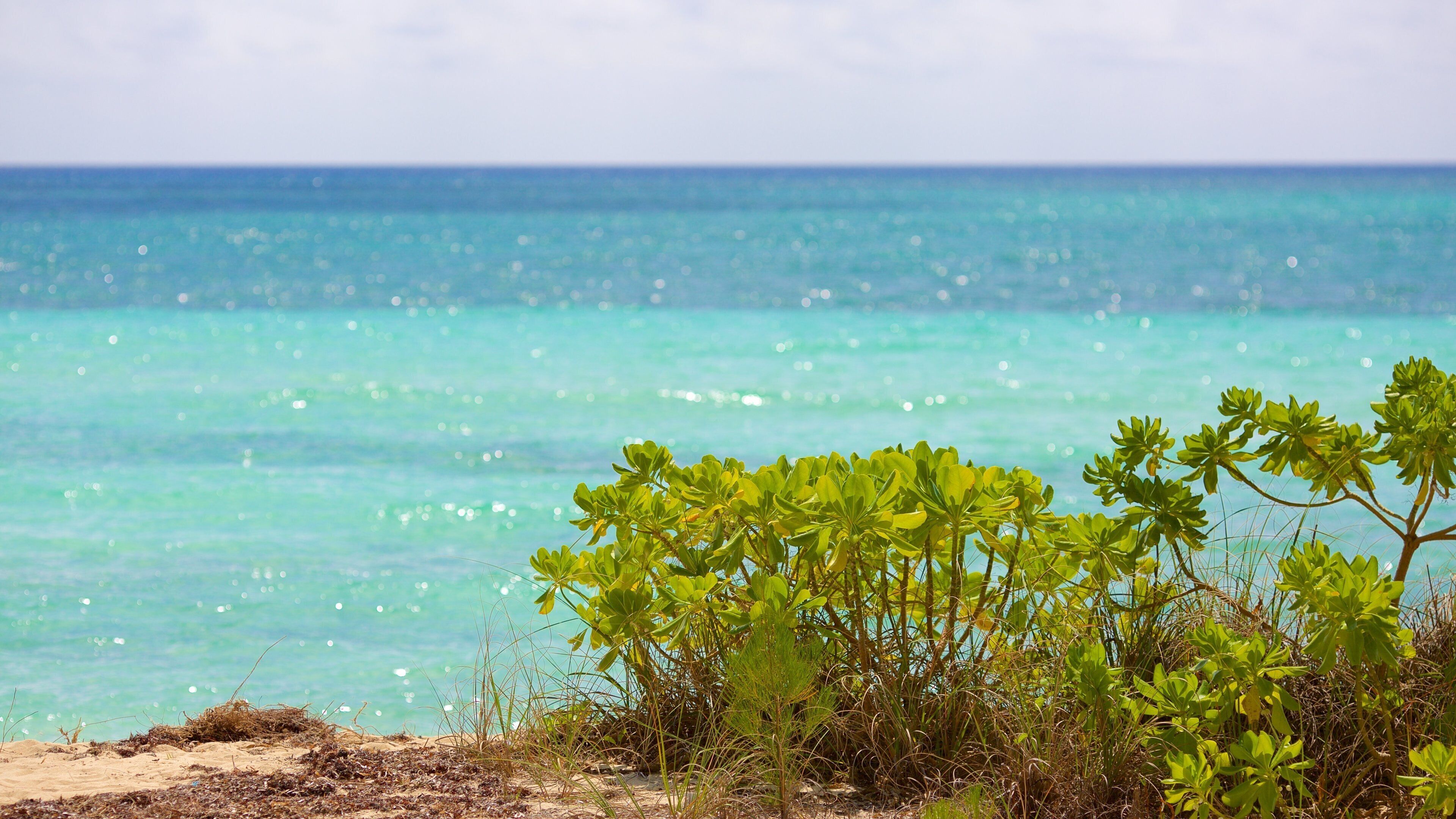 Xanadu Beach das einen allgemeine Küstenansicht