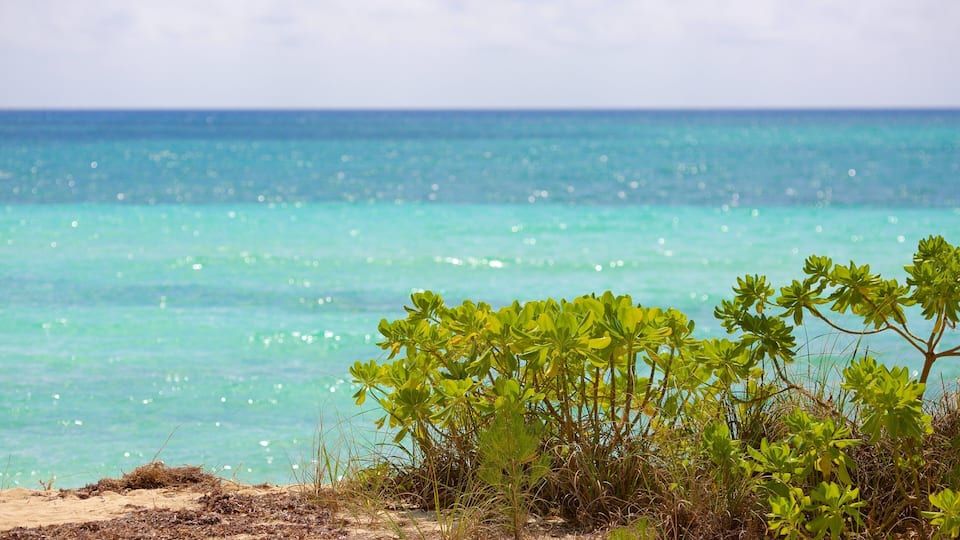 Xanadu-stranden som inkluderer kyst