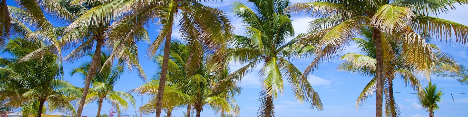 Arawak Cay mostrando cenas tropicais, uma cidade litorânea e uma praia de areia