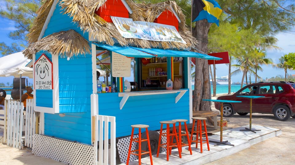 A blue kiosk with a thatched roof and a sign reading "It is What It Is Sky Juice".