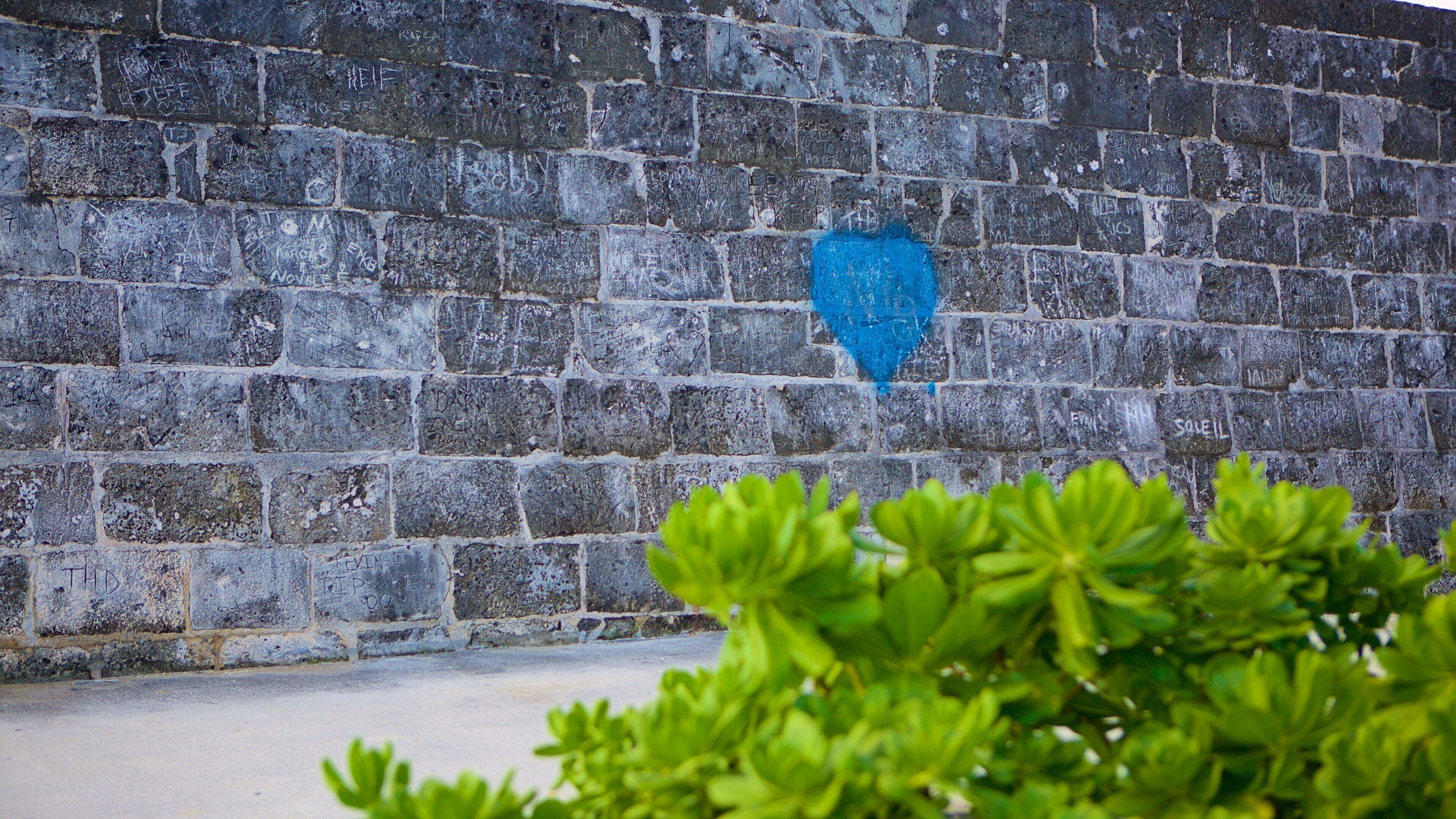 Fort Montagu som inkluderer kulturarv