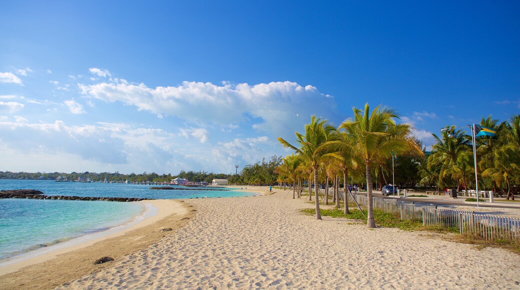 Fort Montagu featuring a sandy beach