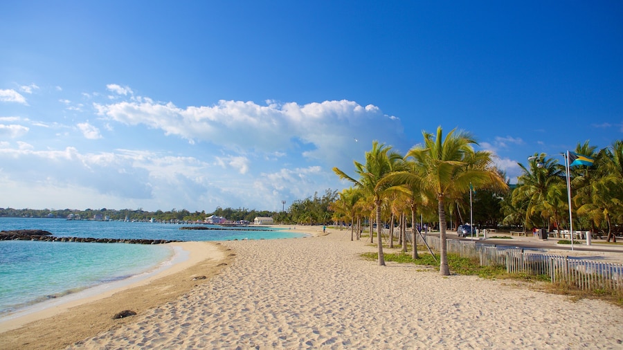 Fort Montagu featuring a sandy beach