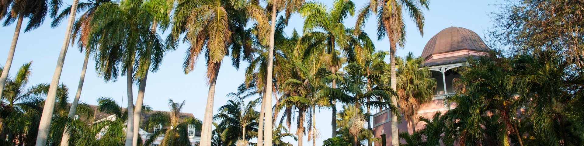 Nassau Public Library And Palm Trees
