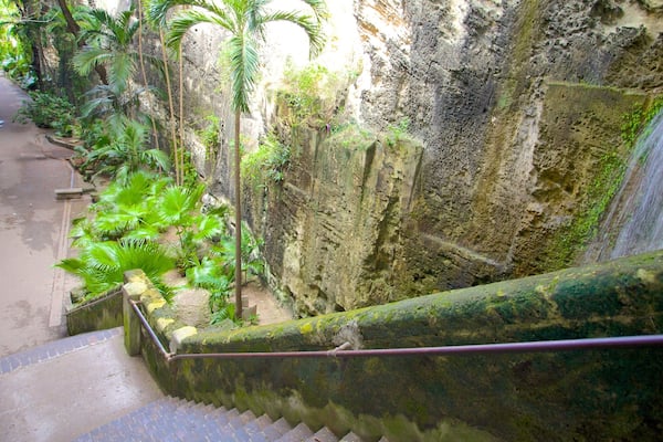 Queen\'s Staircase which includes tropical scenes and a cascade