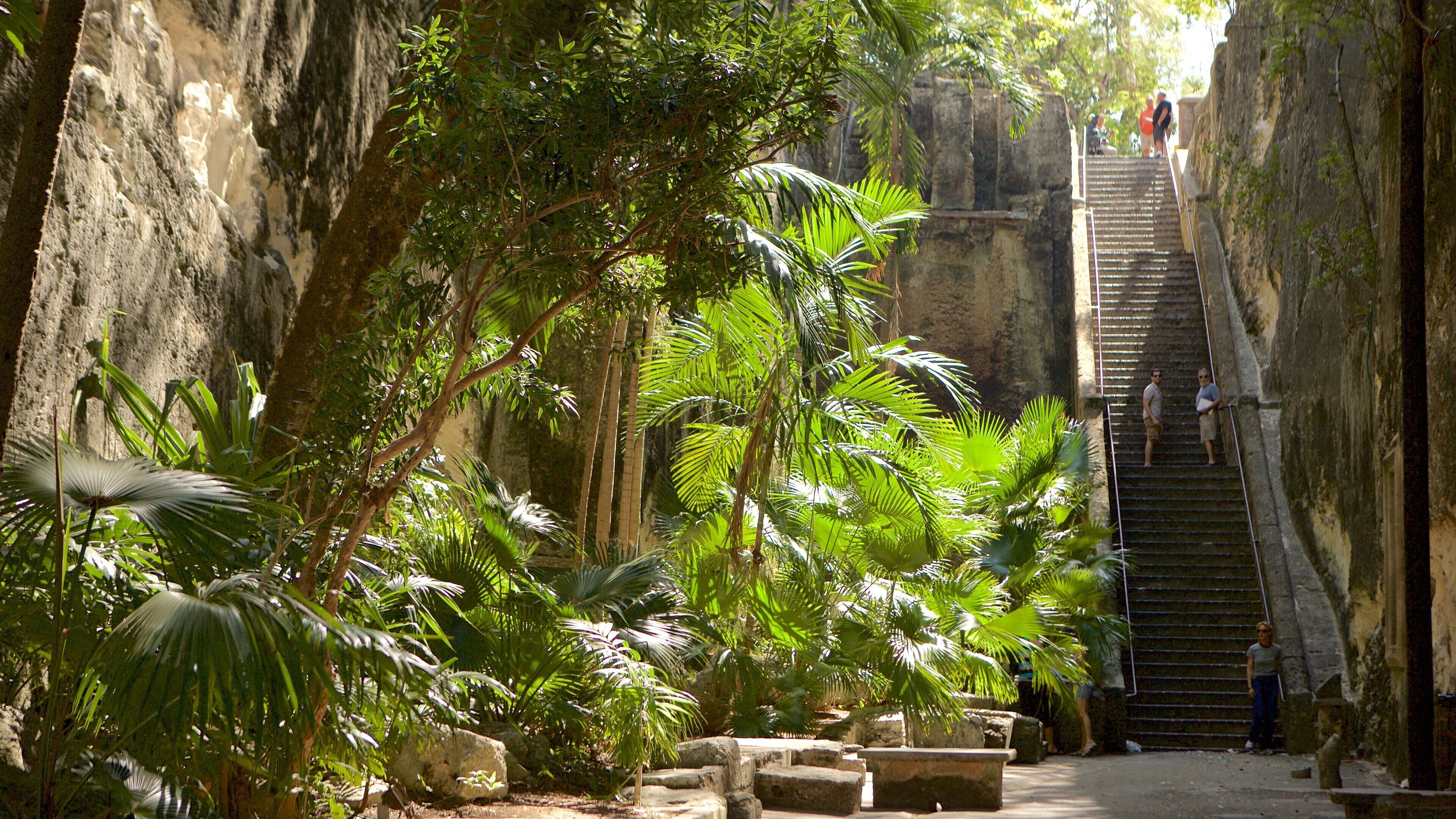 Queen\'s Staircase das einen Regenwald und Schlucht oder Canyon sowie kleine Menschengruppe