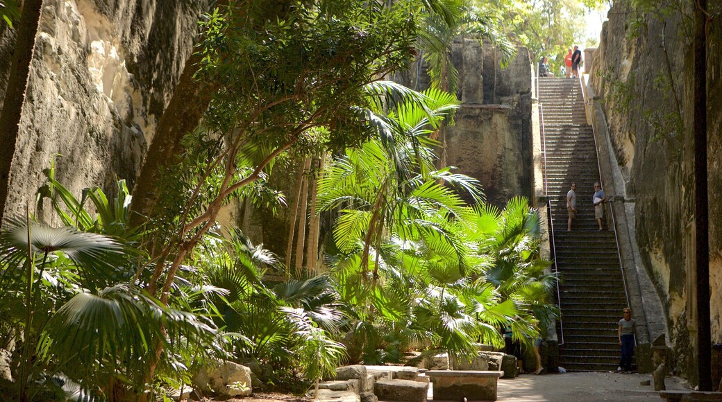 Queen\'s Staircase das einen Regenwald und Schlucht oder Canyon sowie kleine Menschengruppe