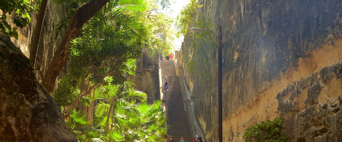 여왕의 계단 을 보여주는 계곡 또는 협곡 뿐만 아니라 대규모 사람들