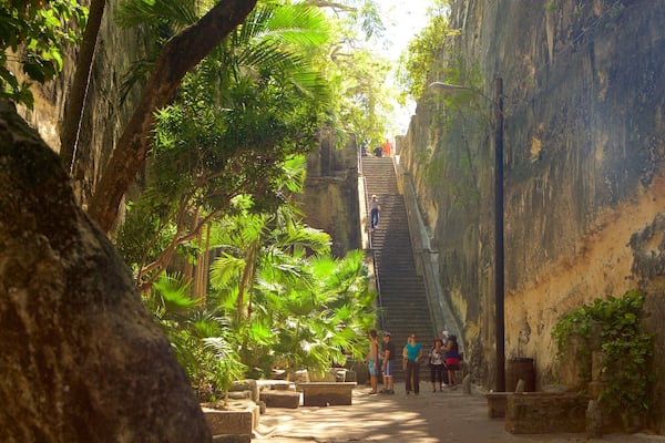A narrow stone pathway flanked by lush greenery and a steep staircase leading upwards.