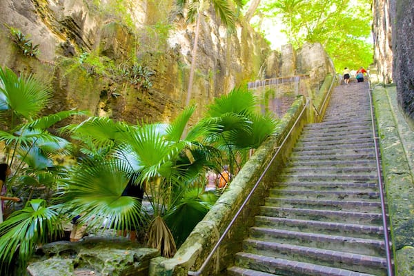 Queen\'s Staircase which includes rainforest