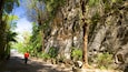 Un sentier bordé de grands arbres et de falaises rocheuses.