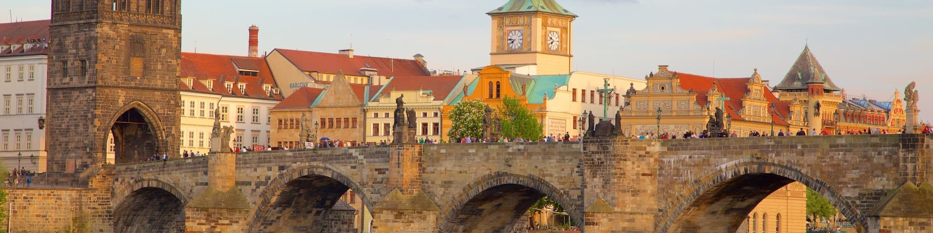 Old Town Bridge Tower showing a city, a river or creek and a bridge